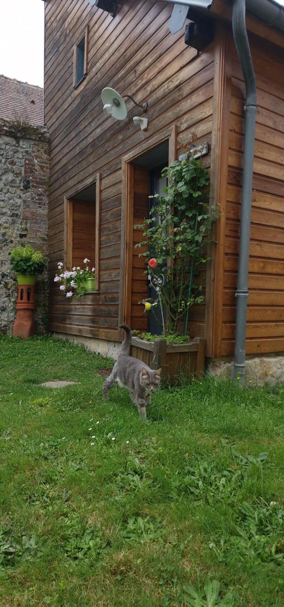Honfleur A Deux Panzió Kültér fotó